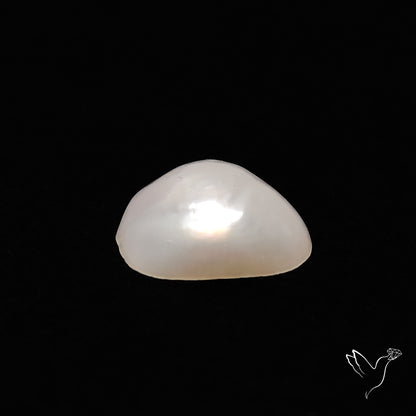 Freshwater Pearl Freeform