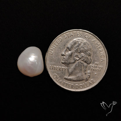 Freshwater Pearl Freeform