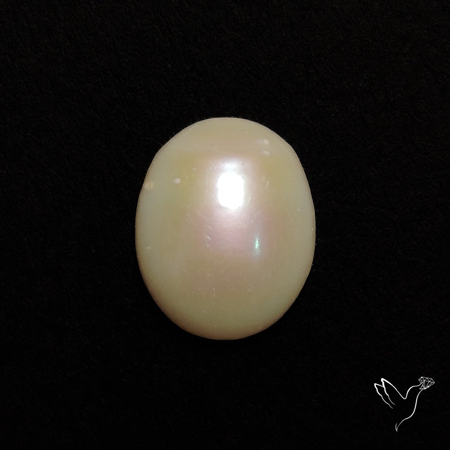 Freshwater Pearl