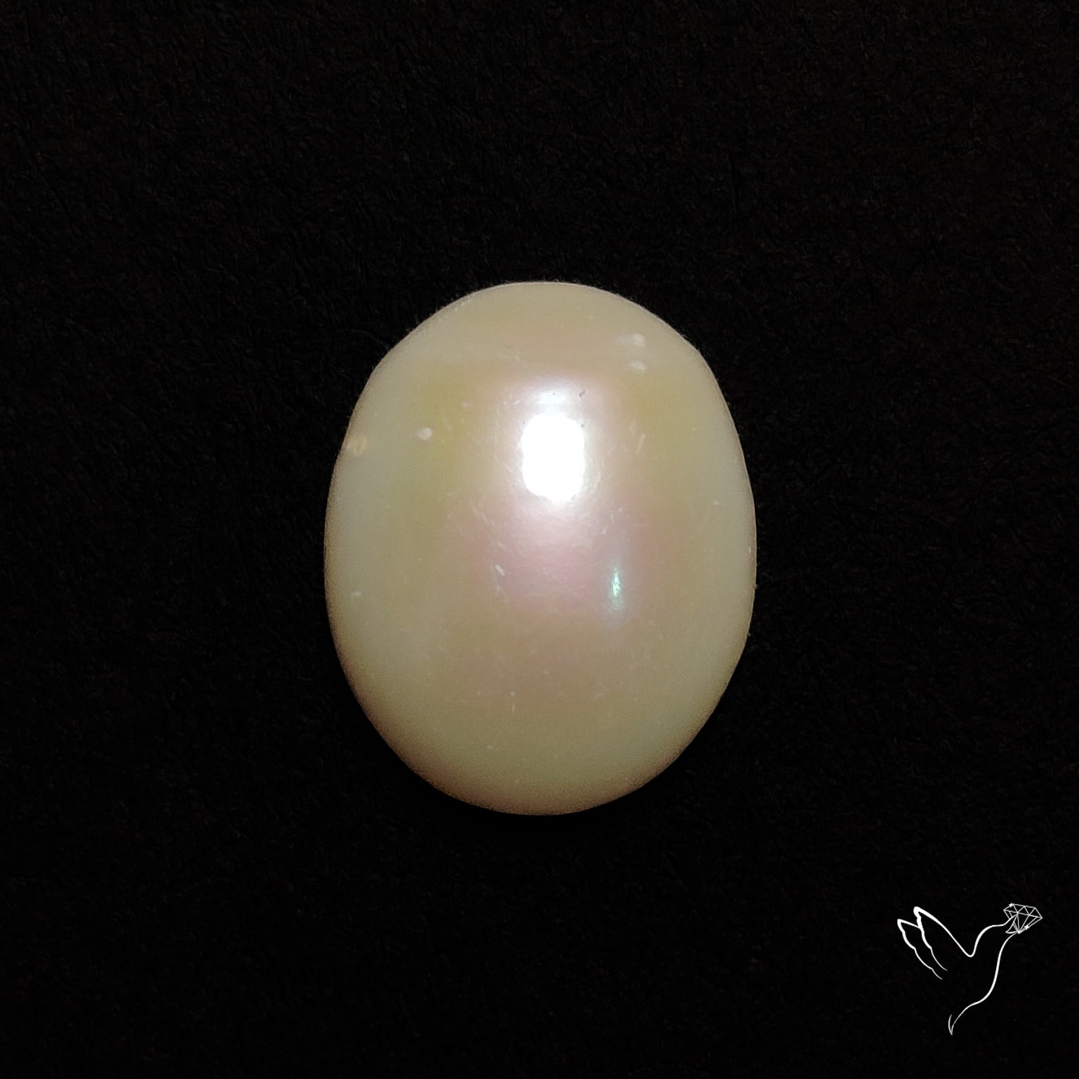 Freshwater Pearl