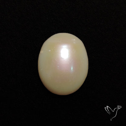 Freshwater Pearl