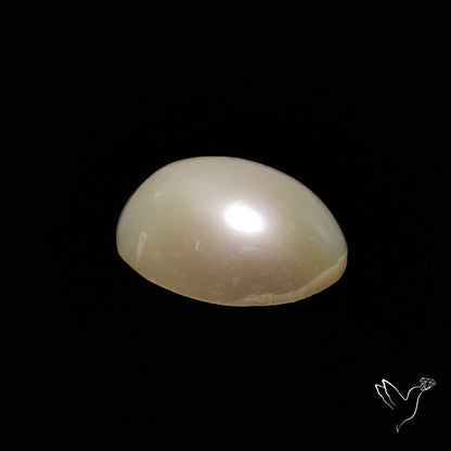 Freshwater Pearl