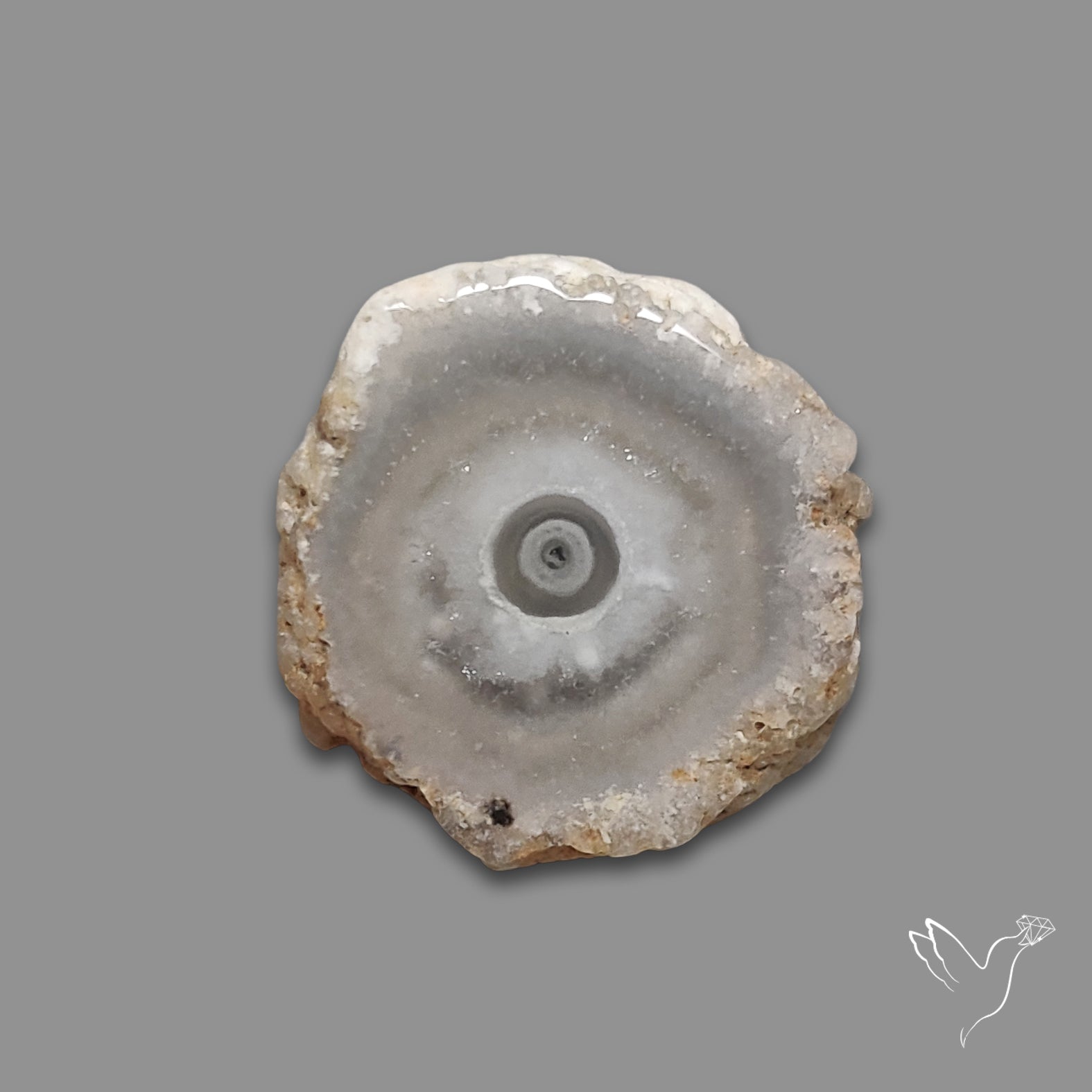 Solar Quartz Stalactite Slice