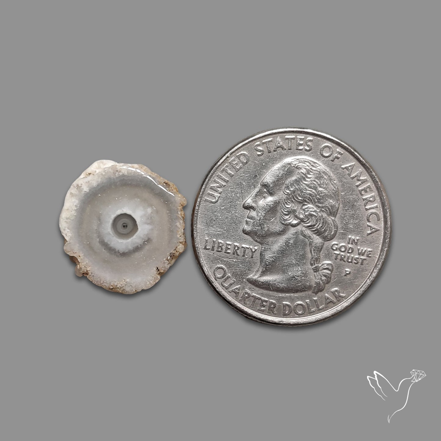 Solar Quartz Stalactite Slice