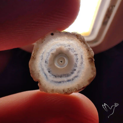 Solar Quartz Stalactite Slice