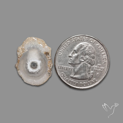 Solar Quartz Stalactite Slice