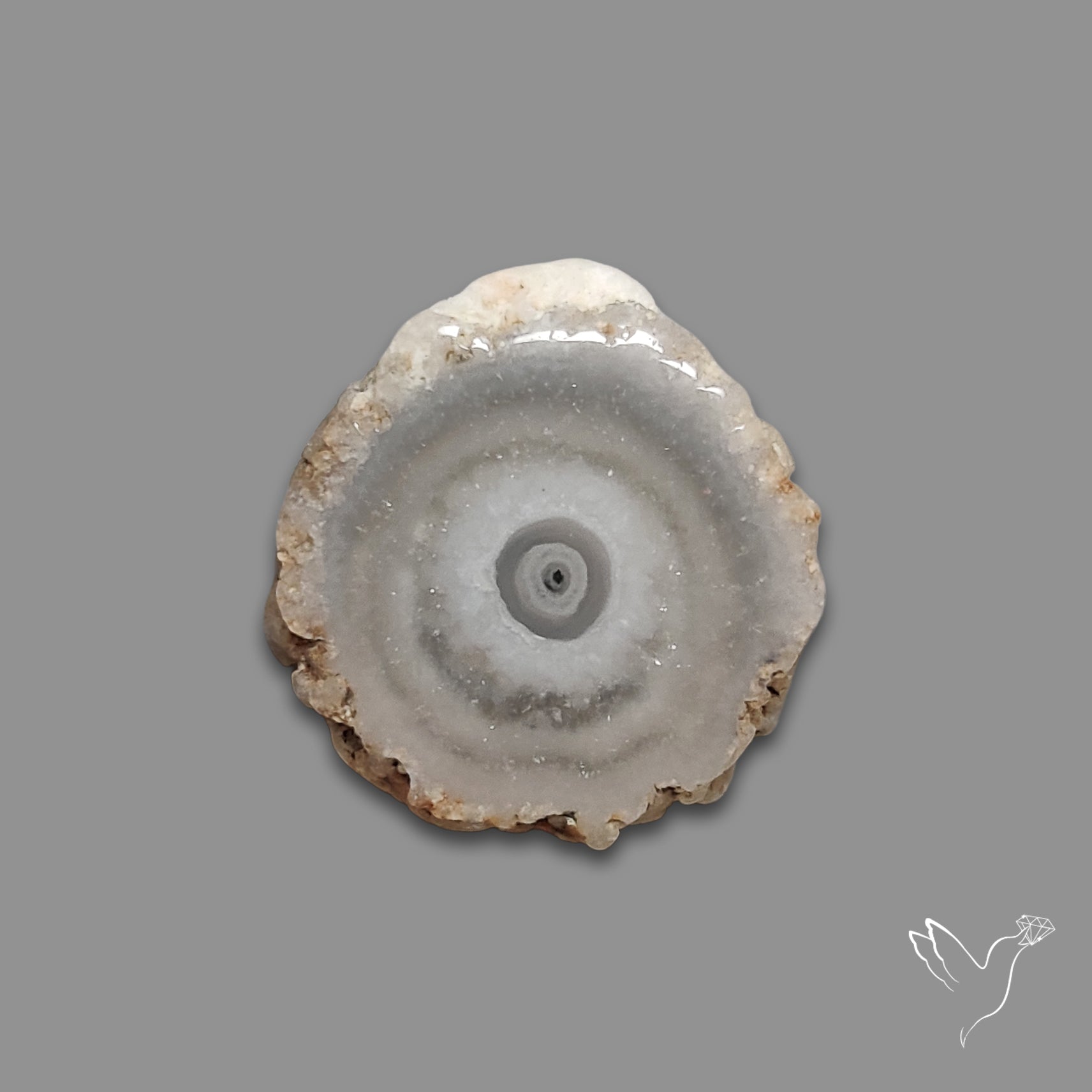 Solar Quartz Stalactite Slice