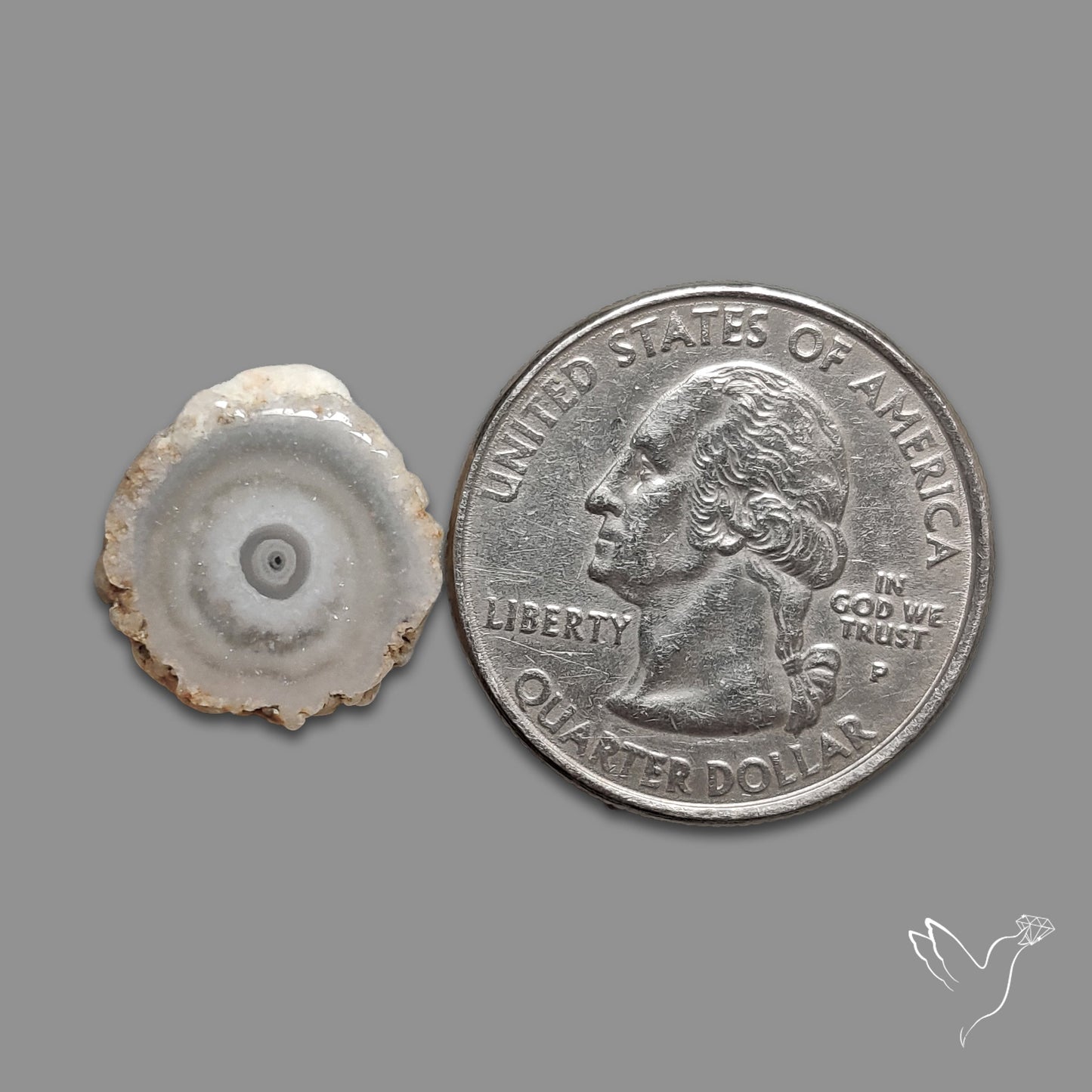 Solar Quartz Stalactite Slice