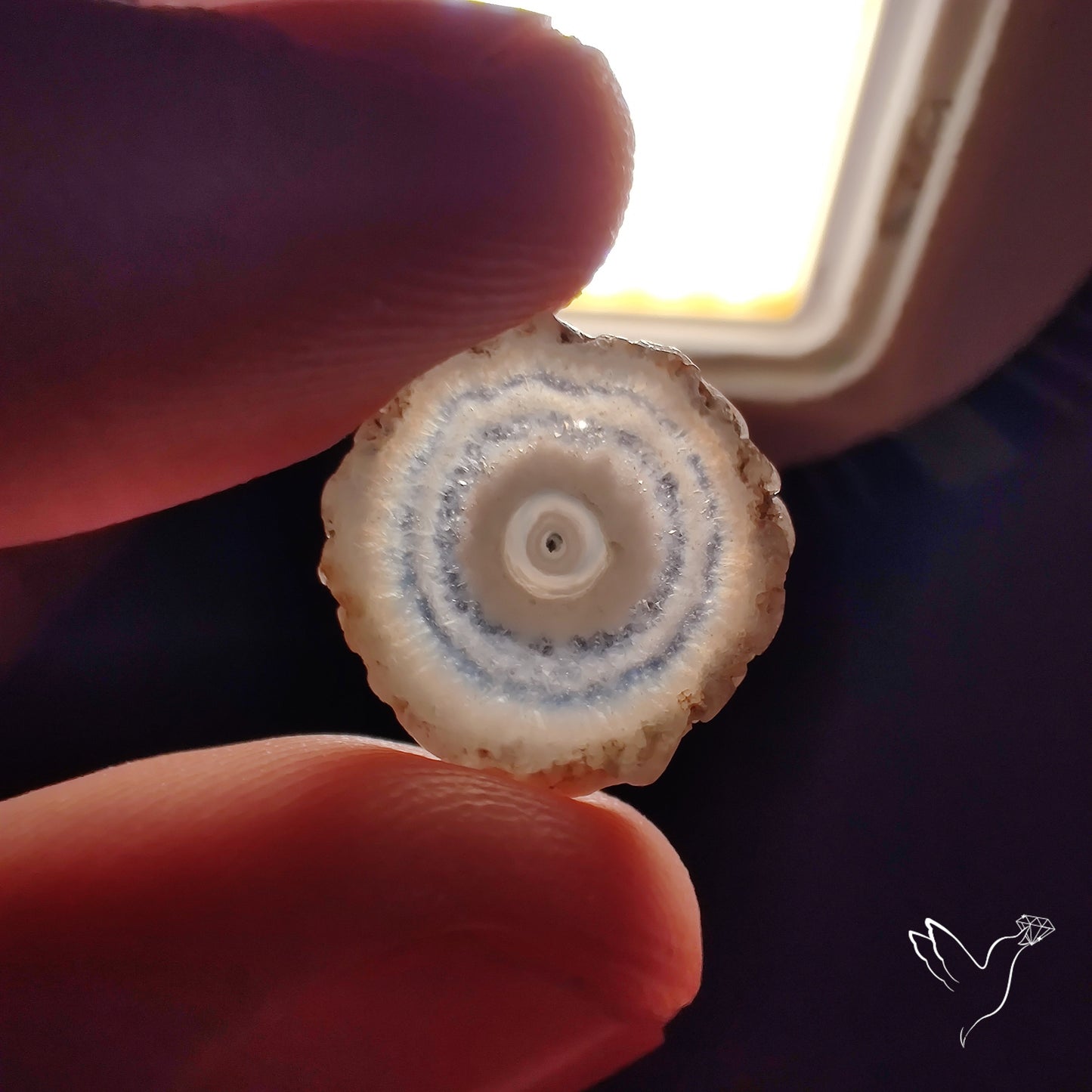 Solar Quartz Stalactite Slice