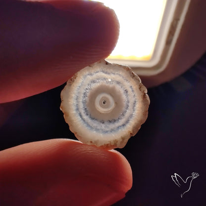 Solar Quartz Stalactite Slice