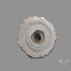 Solar Quartz Stalactite Slice