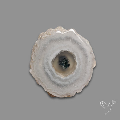 Solar Quartz Stalactite Slice