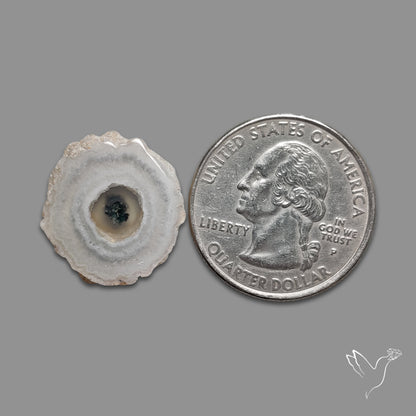 Solar Quartz Stalactite Slice