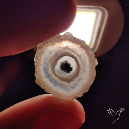 Solar Quartz Stalactite Slice