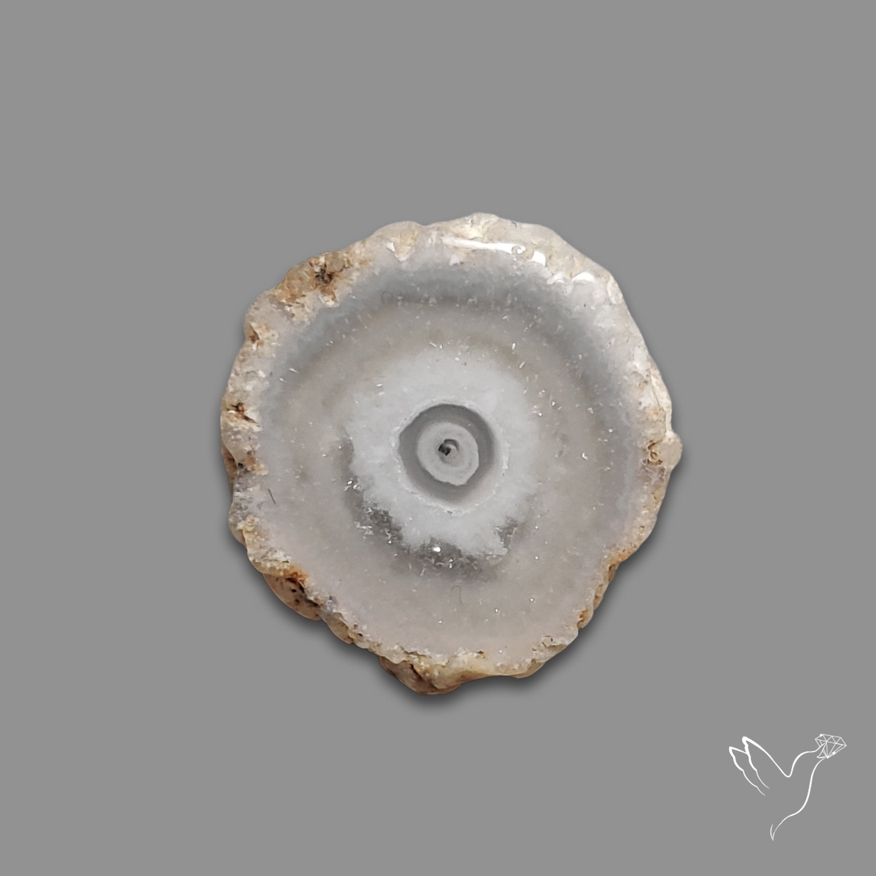 Solar Quartz Stalactite Slice