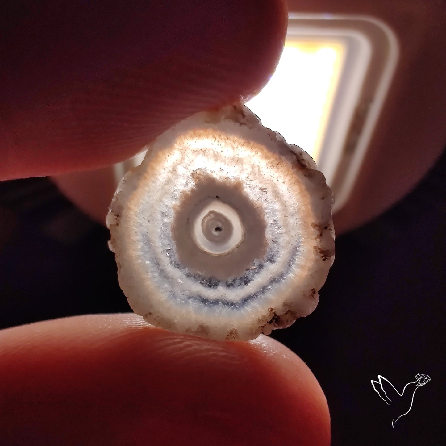 Solar Quartz Stalactite Slice