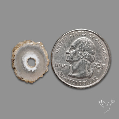 Solar Quartz Stalactite Slice