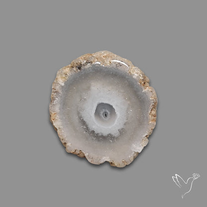 Solar Quartz Stalactite Slice