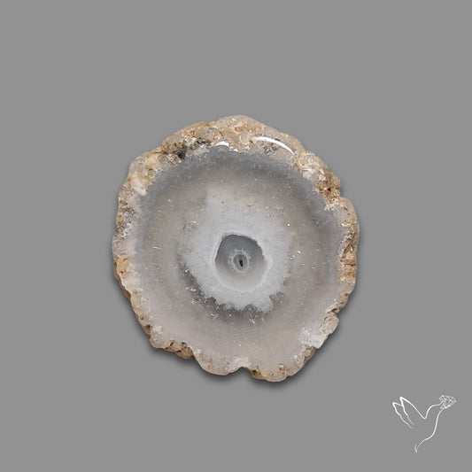 Solar Quartz Stalactite Slice