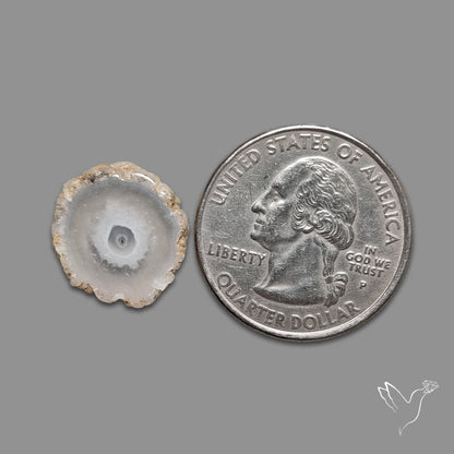 Solar Quartz Stalactite Slice