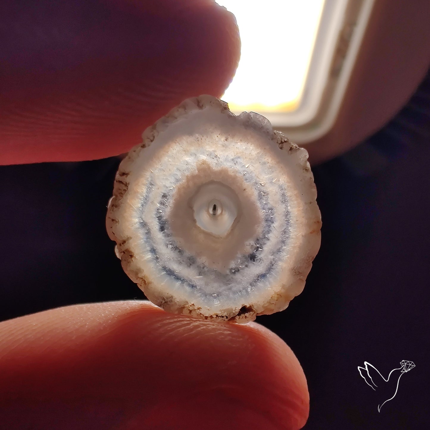 Solar Quartz Stalactite Slice