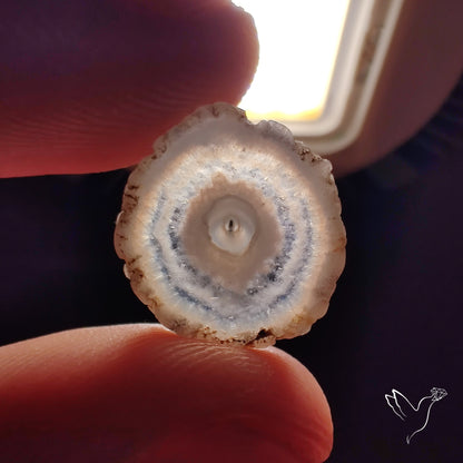 Solar Quartz Stalactite Slice