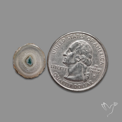 Solar Quartz Stalactite Slice