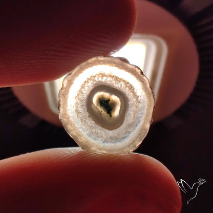 Solar Quartz Stalactite Slice