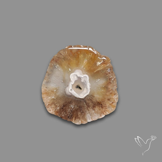 Solar Quartz Stalactite Slice