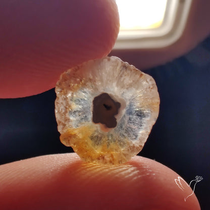 Solar Quartz Stalactite Slice
