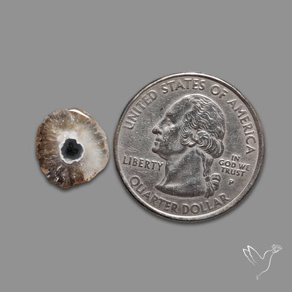 Solar Quartz Stalactite Slice