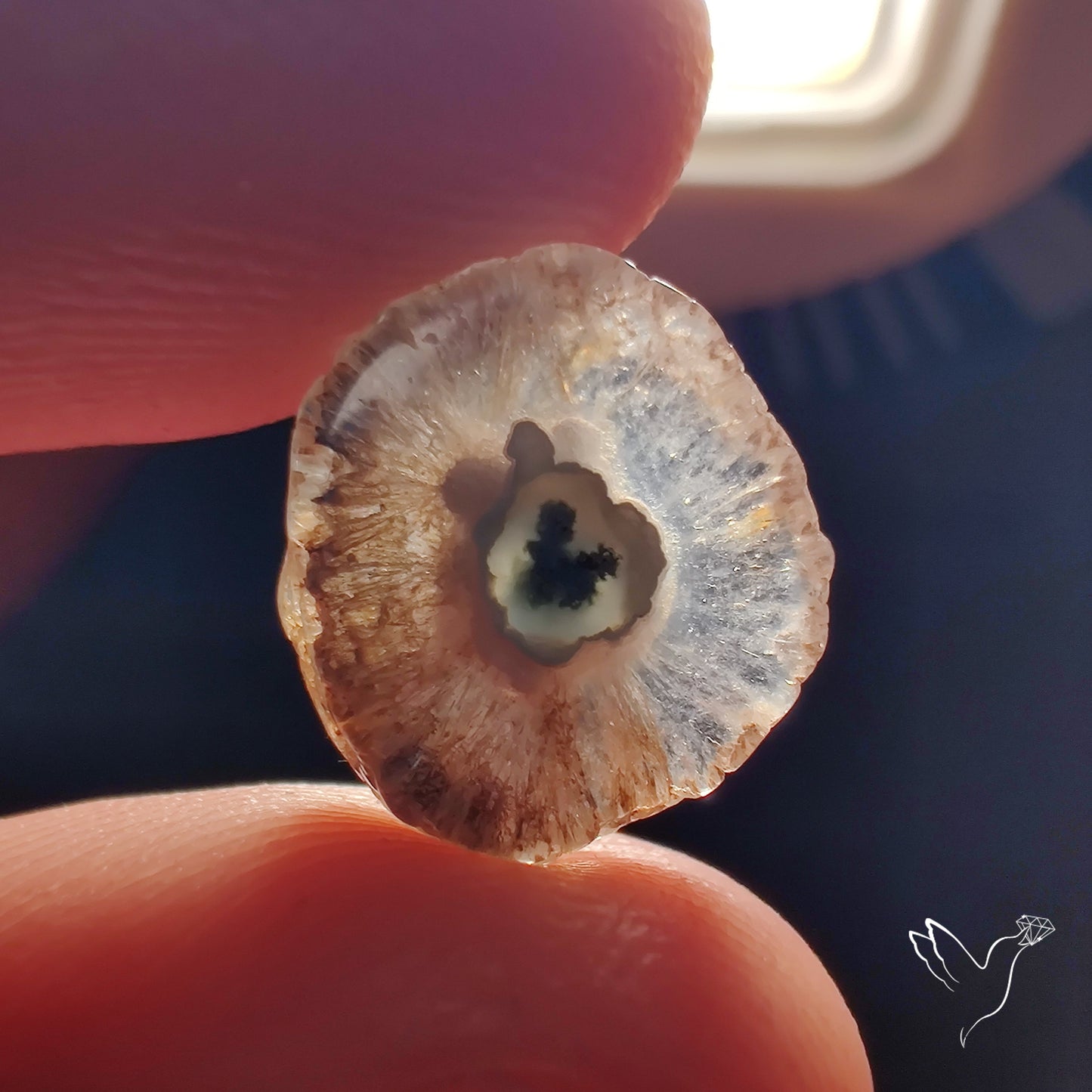 Solar Quartz Stalactite Slice
