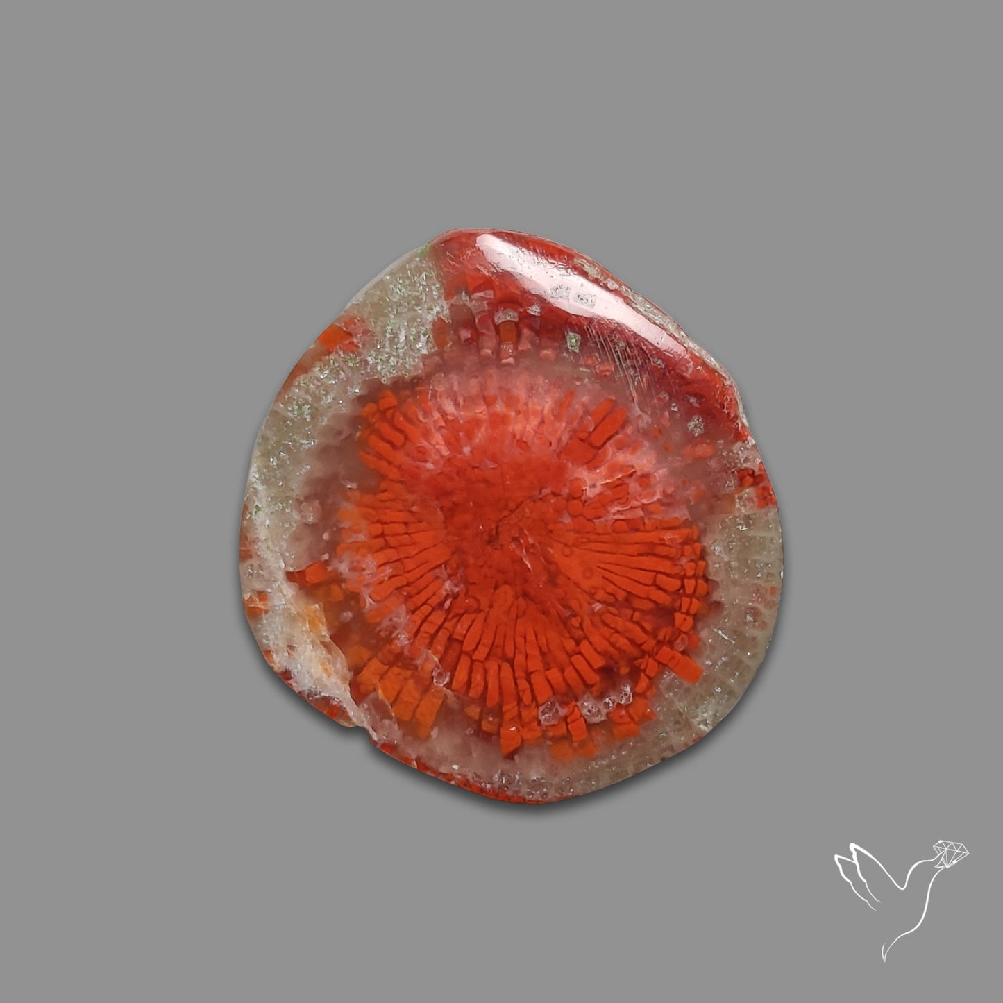 Red Horn Coral Cabochon From Utah