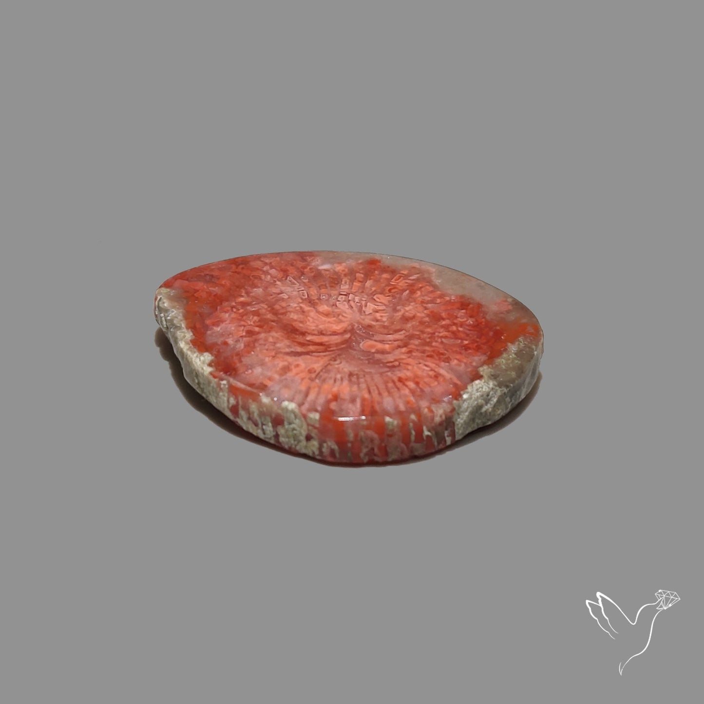 Red Horn Coral Cabochon From Utah