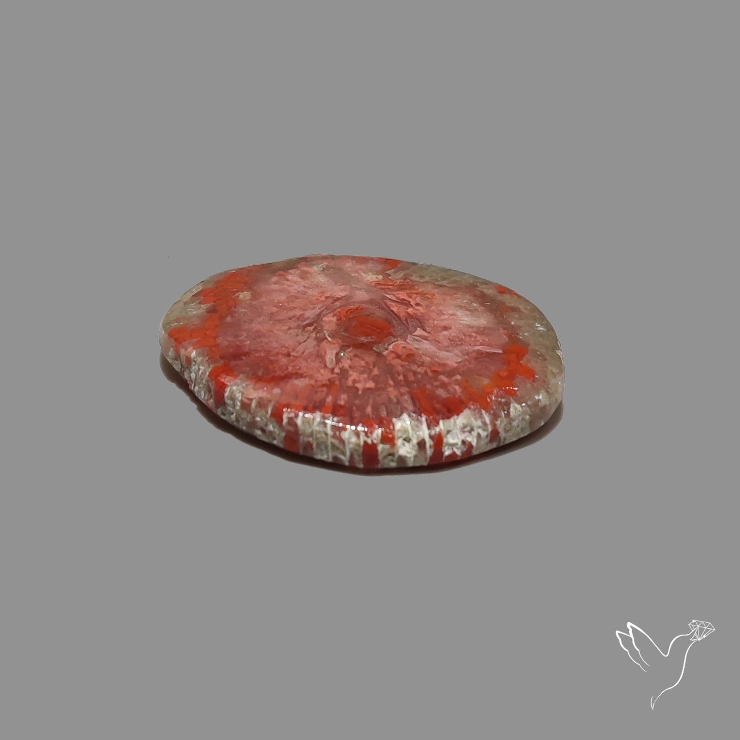 Red Horn Coral Cabochon From Utah