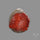 Red Horn Coral Cabochon From Utah