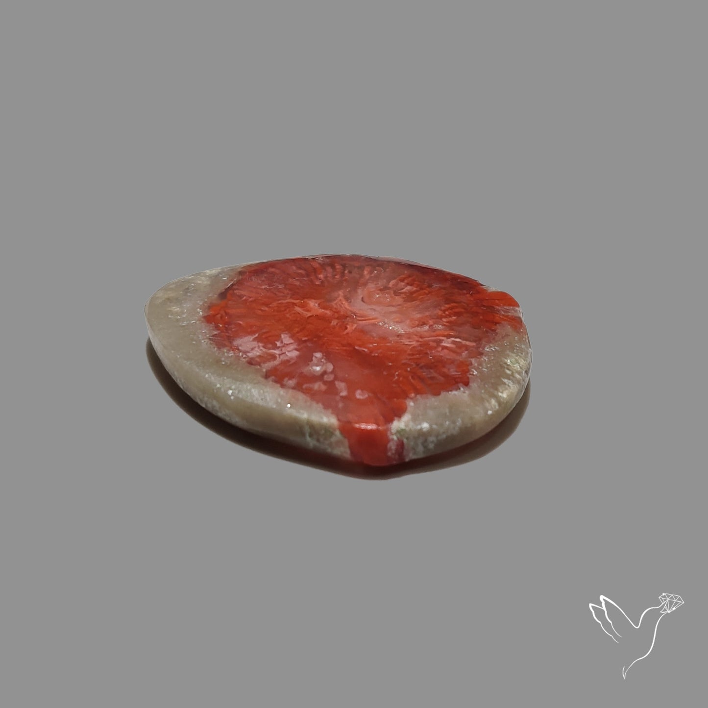 Red Horn Coral Cabochon From Utah