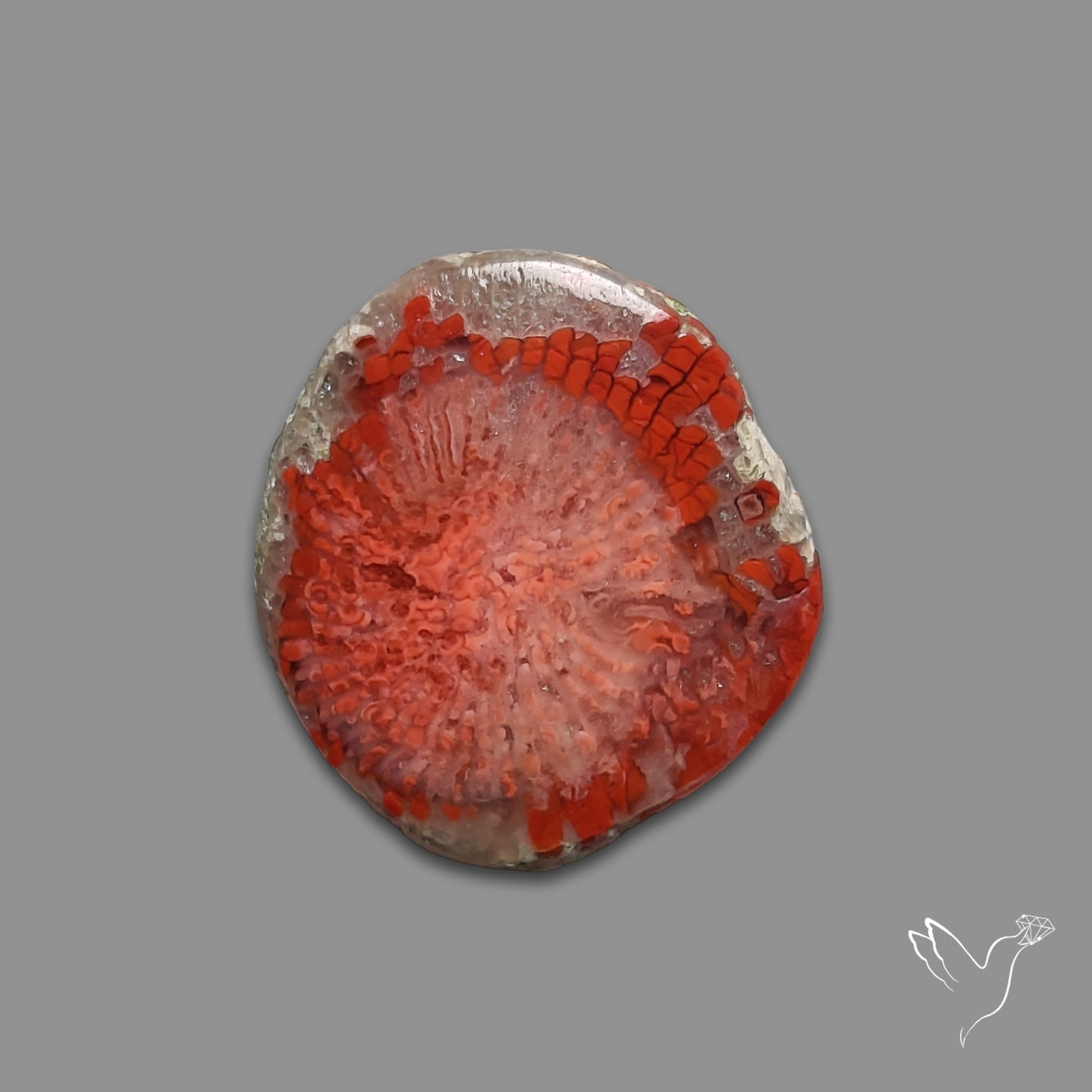 Red Horn Coral Cabochon From Utah