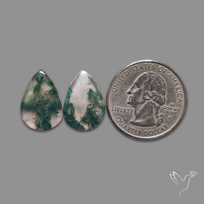 Moss Agate Pair