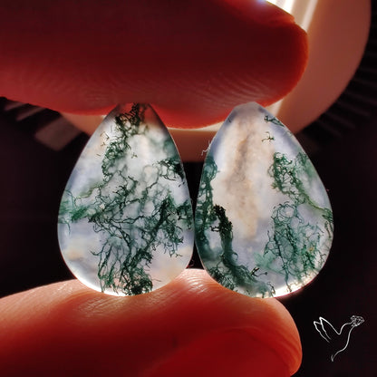 Moss Agate Pair