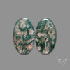 Moss Agate Pair