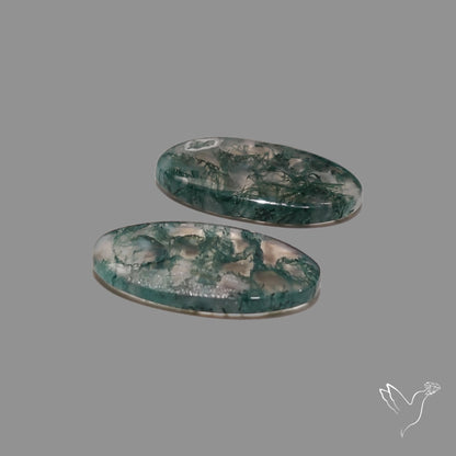 Moss Agate Pair