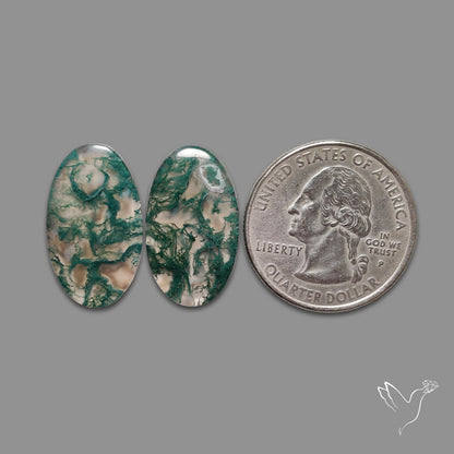 Moss Agate Pair