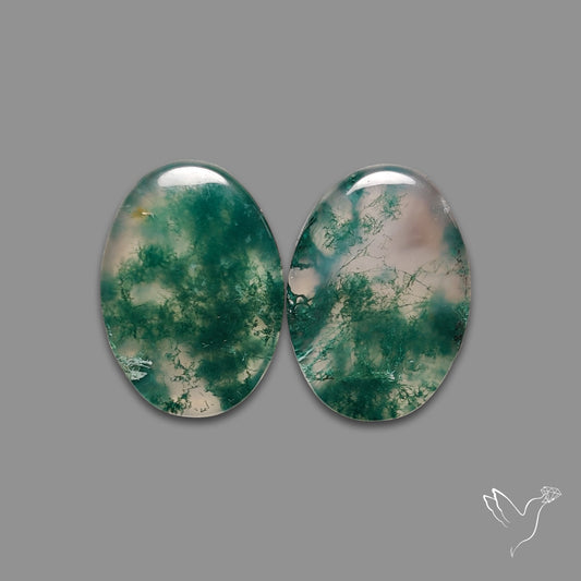 Moss Agate Pair