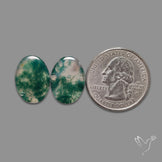 Moss Agate Pair