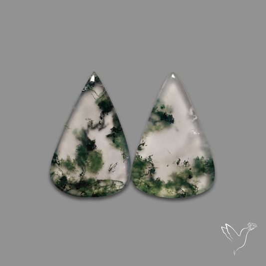 Moss Agate Pair