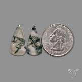 Moss Agate Pair