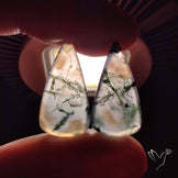 Moss Agate Pair
