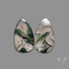 Moss Agate Pair