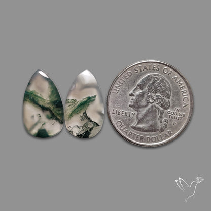 Moss Agate Pair
